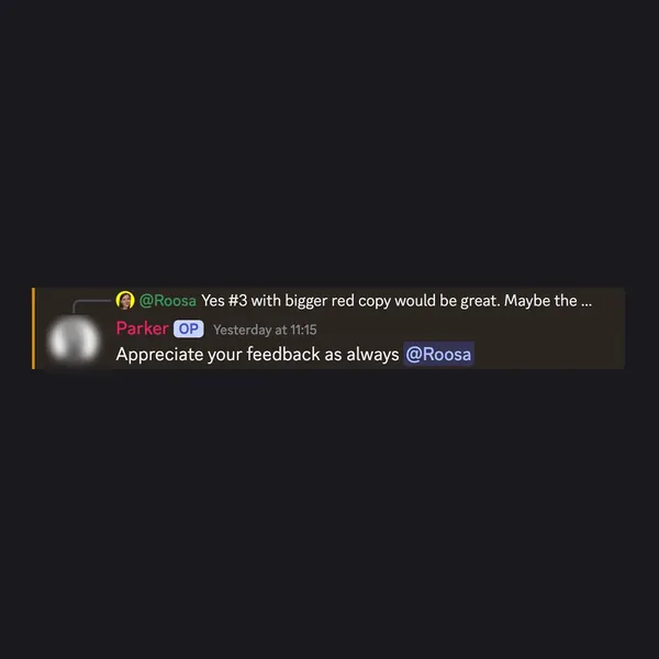 Client feedback screenshot from Discord or email
